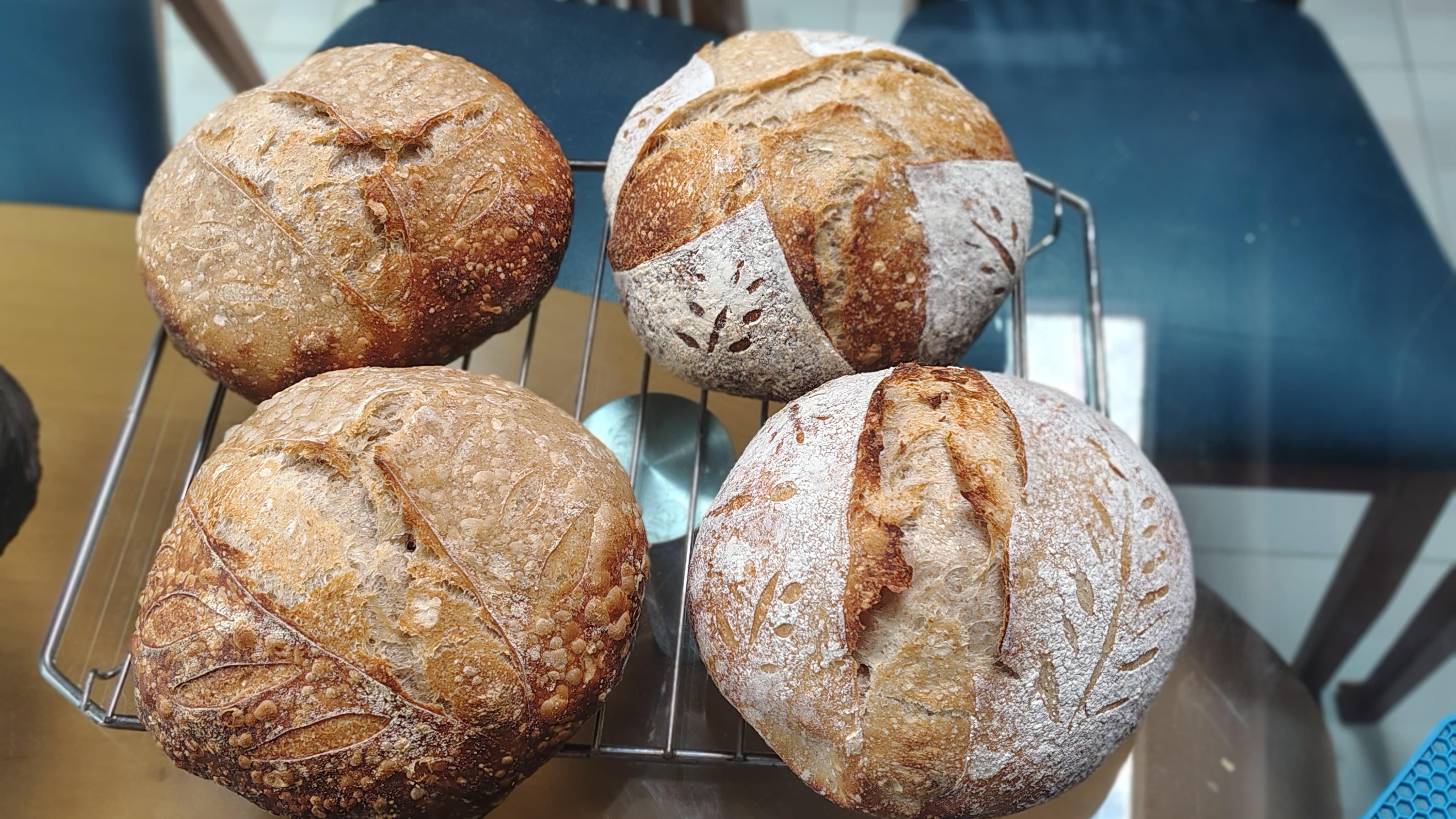 /gallery/bread/july/loaves.jpg
