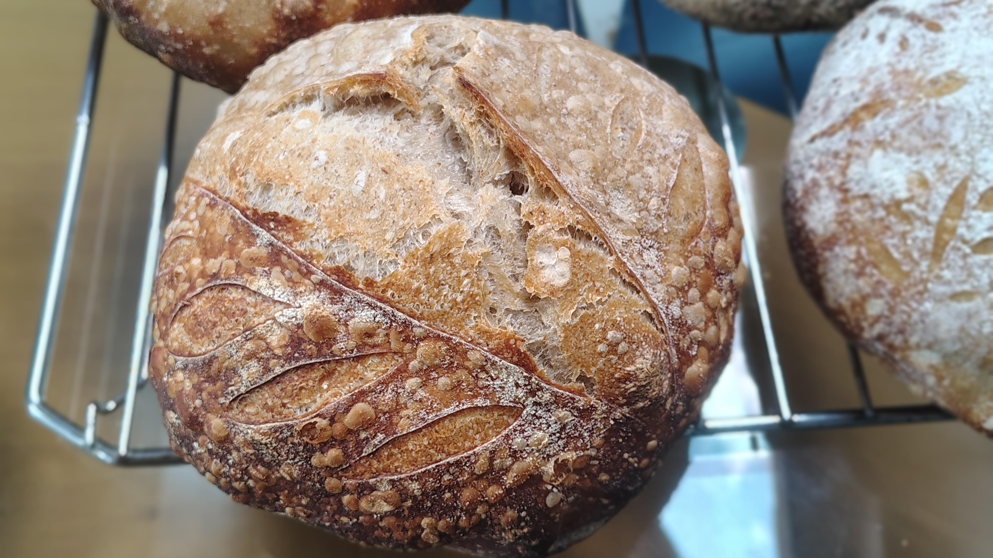 /gallery/bread/july/sourdough2.jpg