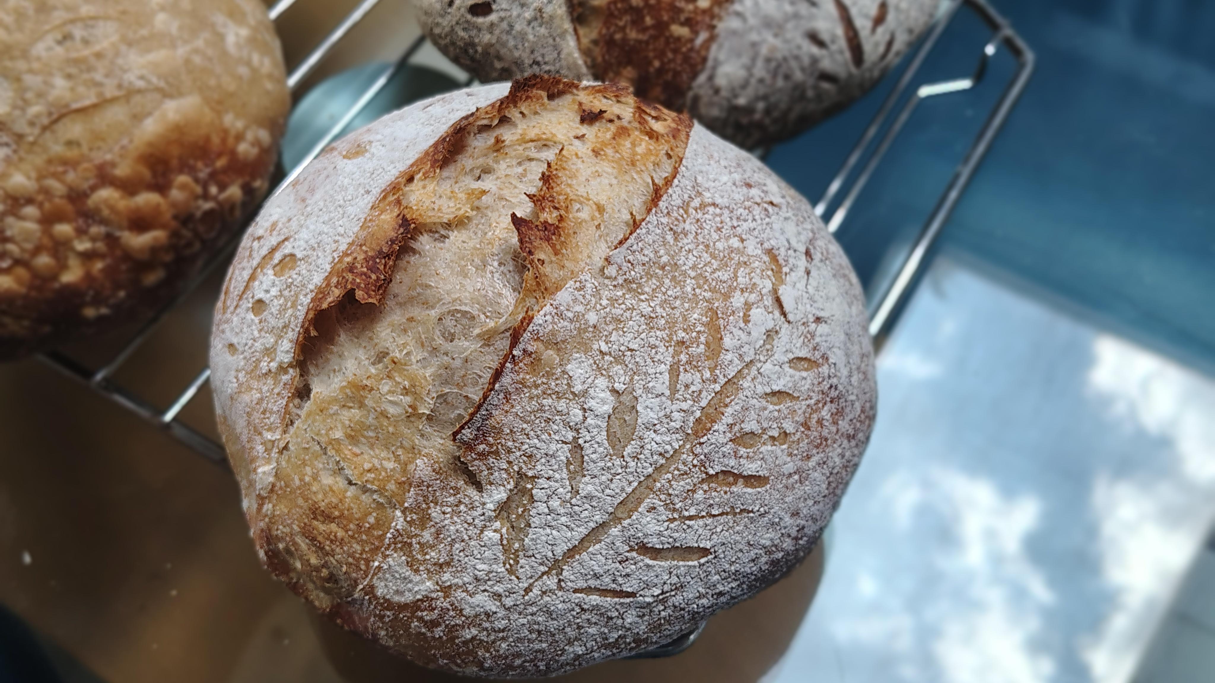 /gallery/bread/july/sourdough4.jpg